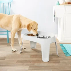Frisco Elevated Dog Diner, 8 Cup -FRISCO Sales 155645 PT3. SY630 V1552417035