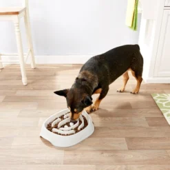 Frisco Non-Skid Slow Feeder Dog & Small Pet Bowl -FRISCO Sales 155647 PT4. SY630 V1553538752