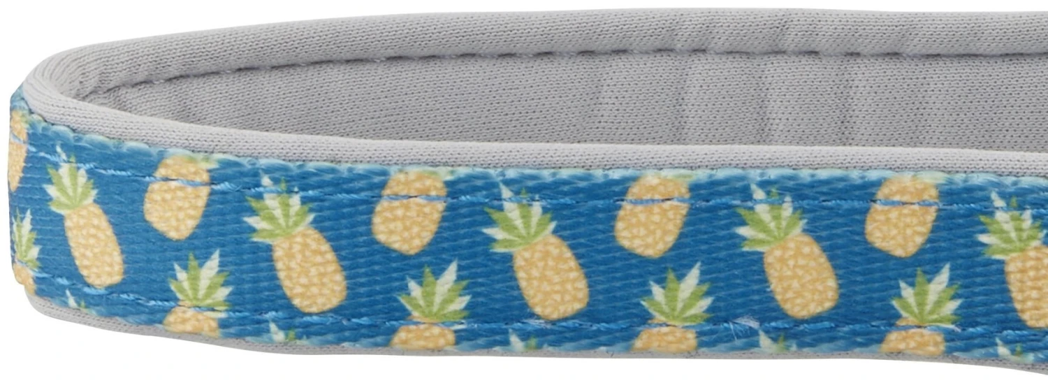 Frisco Patterned Neoprene Dog Collar 6 Frisco Patterned Neoprene Dog Collar - Image 4
