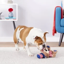 X-Frisco Plush Squeaking American Flag Bear Dog Toy, 2020 -FRISCO Sales 157187 PT2. SY630 V1559764047