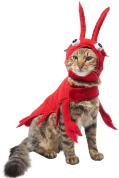 Frisco Red Lobster Dog & Cat Costume