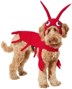Frisco Red Lobster Dog & Cat Costume -FRISCO Sales 158722 PT2. SY630 V1659023725