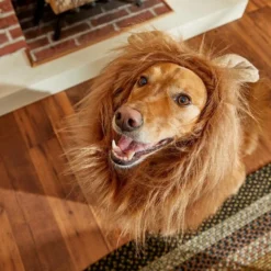 Frisco Lion Mane Dog & Cat Costume -FRISCO Sales 158731 PT8. SY630 V1599139860