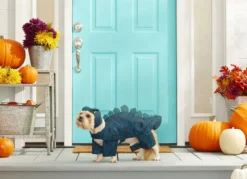 Frisco Stegosaurus Dinosaur Dog & Cat Costume -FRISCO Sales 158772 PT3. SY630 V1567175713