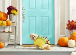 Frisco Taco Dog & Cat Costume 12 Frisco Taco Dog & Cat Costume -FRISCO Sales 158823 PT3. SY630 V1567175838