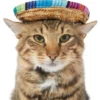 Frisco Dog & Cat Sombrero Hat -FRISCO Sales 158881 MAIN. SY630 V1625076472