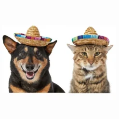 Frisco Dog & Cat Sombrero Hat 9 Frisco Dog & Cat Sombrero Hat -FRISCO Sales 158881 PT2. SY630 V1625076485