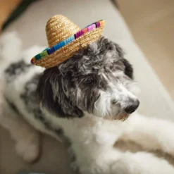 Frisco Dog & Cat Sombrero Hat 11 Frisco Dog & Cat Sombrero Hat -FRISCO Sales 158881 PT8. SY630 V1624553158