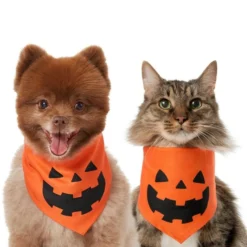 Frisco Jack O' Lantern Pumpkin Dog & Cat Hoodie