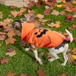 Frisco Jack O' Lantern Pumpkin Dog & Cat Hoodie -FRISCO Sales 158886 PT8. SY630 V1599140774