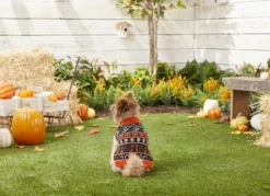 Frisco Halloween Fair Isle Dog & Cat Sweater -FRISCO Sales 158893 PT3. SY630 V1567176238
