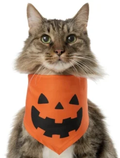 Frisco Jack O' Lantern Pumpkin Dog & Cat Bandana -FRISCO Sales 158934 PT2. SY630 V1637646424