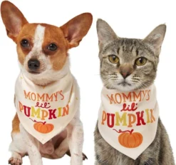 Frisco Mommy's Lil Pumpkin Dog & Cat Bandana