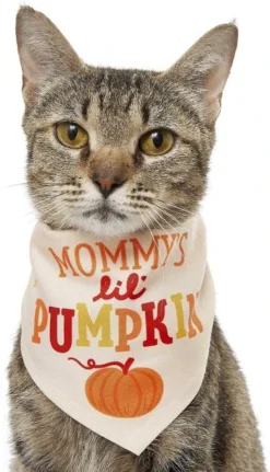 Frisco Mommy's Lil Pumpkin Dog & Cat Bandana -FRISCO Sales 158936 PT2. SY630 V1633073776