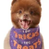Frisco I Do Tricks For Treats Dog & Cat Bandana