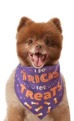 Frisco I Do Tricks For Treats Dog & Cat Bandana