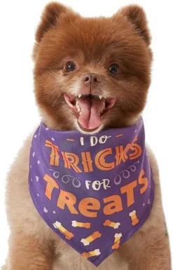Frisco I Do Tricks For Treats Dog & Cat Bandana -FRISCO Sales 158938 PT3. SY630 V1633075903