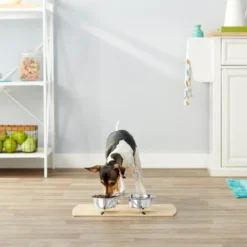 Frisco Non-Skid Elevated Dog & Cat Diner -FRISCO Sales 159881 PT3. SY630 V1561123384