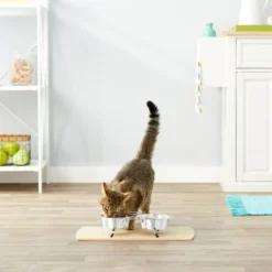 Frisco Non-Skid Elevated Dog & Cat Diner -FRISCO Sales 159881 PT4. SY630 V1561123082