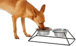 Frisco Pyramid Elevated Dog & Cat Diner