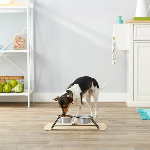 Frisco Pyramid Elevated Dog & Cat Diner 6 Frisco Pyramid Elevated Dog & Cat Diner - Image 4