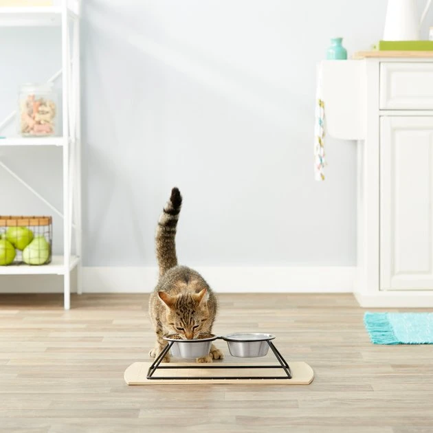 Frisco Pyramid Elevated Dog & Cat Diner 7 Frisco Pyramid Elevated Dog & Cat Diner - Image 5