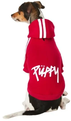 Frisco Püppy Dog & Cat Athletic Hoodie -FRISCO Sales 160339 PT2. SY630 V1637651502