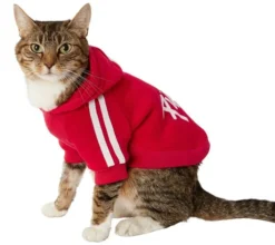 Frisco Püppy Dog & Cat Athletic Hoodie -FRISCO Sales 160339 PT3. SY630 V1637717232
