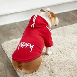 Frisco Püppy Dog & Cat Athletic Hoodie -FRISCO Sales 160339 PT6. SY630 V1637668622