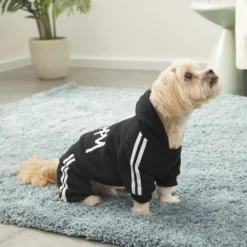 Frisco Püppy Dog & Cat Athletic Tracksuit -FRISCO Sales 160361 PT7. SY630 V1567008238
