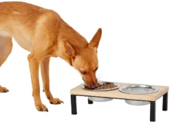 Frisco Wooden Elevated Dog & Cat Diner