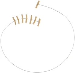 Frisco Wire Teaser Cat Toy