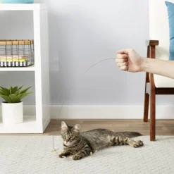 Frisco Wire Teaser Cat Toy -FRISCO Sales 161194 PT2. SY630 V1568910146