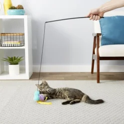 Frisco Bird Teaser with Feathers Cat Toy -FRISCO Sales 161199 PT2. SY630 V1568910139