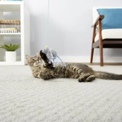 Frisco Bouncy Mouse Cat Toy 5 Frisco Bouncy Mouse Cat Toy -FRISCO Sales 161259 PT1. SY630 V1568910124