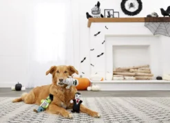 Frisco Halloween Living Dead Monsters Plush Squeaky Dog Toy, 3 count 12 Frisco Halloween Living Dead Monsters Plush Squeaky Dog Toy, 3 count -FRISCO Sales 161345 PT4. SY630 V1563230352