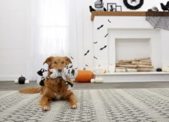 Frisco Mummy Plush with Rope Squeaky Dog Toy -FRISCO Sales 161354 PT2. SY630 V1563230312