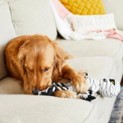 Frisco Mummy Plush with Rope Squeaky Dog Toy -FRISCO Sales 161354 PT6. SY630 V1597599395