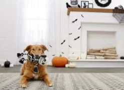 Frisco Halloween Skeleton Plush with Rope Squeaky Dog Toy -FRISCO Sales 161358 PT2. SY630 V1563230245