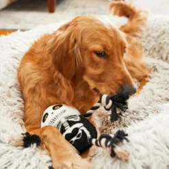 Frisco Halloween Skeleton Plush with Rope Squeaky Dog Toy -FRISCO Sales 161358 PT6. SY630 V1597599370