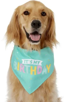 Frisco Dog & Cat Birthday Bandana -FRISCO Sales 162803 PT2. SY630 V1633086083