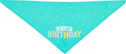 Frisco Dog & Cat Birthday Bandana -FRISCO Sales 162803 PT3. SY630 V1633077992