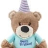 Frisco Plush Birthday Bear with Striped Hat Dog Toy -FRISCO Sales 162836 Main. SY630 V1565379440