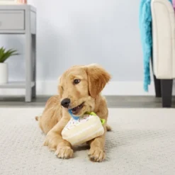 Frisco Plush Birthday Cake Slice with Squeaker Dog Toy -FRISCO Sales 162906 PT2. SY630 V1565379438