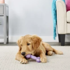 Frisco Birthday TPR Bone Dog Toy, Purple -FRISCO Sales 162911 PT2. SY630 V1566499027