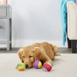 Frisco Fetch Squeaking Birthday Tennis Ball Dog Toy, 3-Pack -FRISCO Sales 162914 PT2. SY630 V1565379548