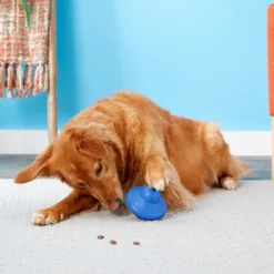 Frisco Rubber Flying Saucer Treat Dispenser Dog Toy -FRISCO Sales 164757 PT4. SY630 V1604676731