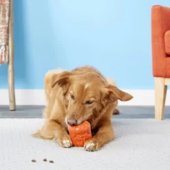 Frisco Halloween Pumpkin Rubber Treat Dispenser Dog Toy -FRISCO Sales 164763 PT4. SY630 V1563808928