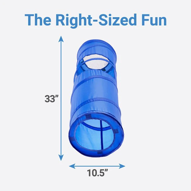 Frisco Peek-a-Boo Cat Chute Cat Toy, Blue Tunnel 4 Frisco Peek-a-Boo Cat Chute Cat Toy, Blue Tunnel - Image 2