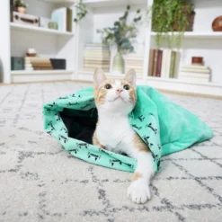 Frisco Kitty Play Sack Cat Toy, Teal 11 Frisco Kitty Play Sack Cat Toy, Teal -FRISCO Sales 166486 PT4. SY630 V1573664900